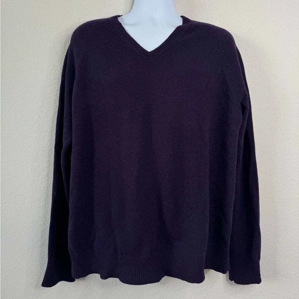 J.Crew 100%‎ Lambswool V-Neck Sweater Men’s XL Purple Minimalist Office Layer